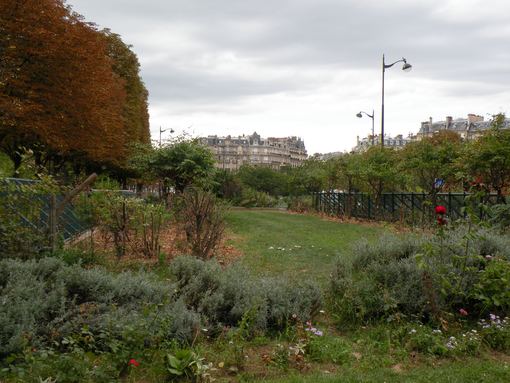  jardin paysager
